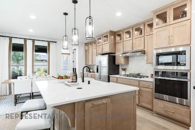 353 Blue Summit Bend, Georgetown, TX 78628 - photo 4