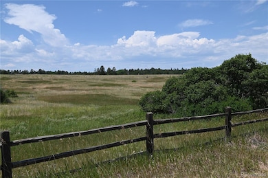 1579 Deerpath Rd, Franktown, CO 80116 - photo 7