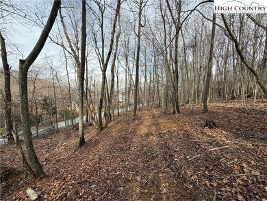 109 Hawthorne Rd, Beech Mountain, NC 28604 - photo 7