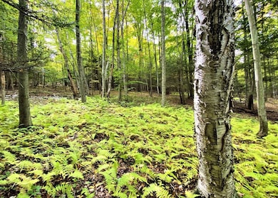 0 Tinkertown Rd unit R1651977, Tuscarora, NY 14801 - photo 3