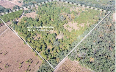 TBD7 129th Rd, Live Oak, FL 32060 - photo 5