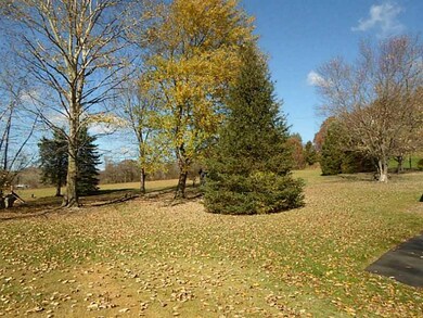 Yard/Garden.
