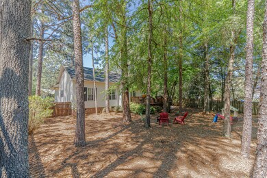 Back Yard 2