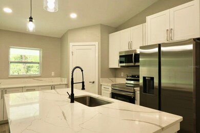 345 Malauka Loop, Ocklawaha, FL 32179 - photo 4