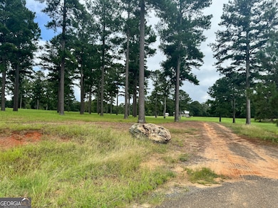 345 Cool Water Rd, Vienna, GA 31092 - photo 3