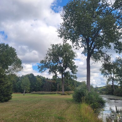 V/L Round Lake Hwy, Manitou Beach, MI 49253 - photo 7