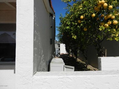 Side yard