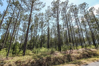 7.29 Acres Homestead Rd, Lucedale, MS 39452 - photo 3