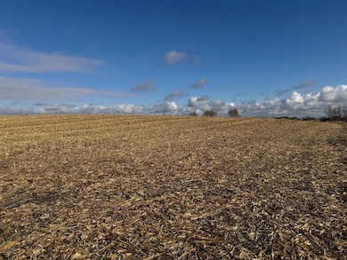 TBD 75th St SE, Rochester, MN 55904 - photo 6