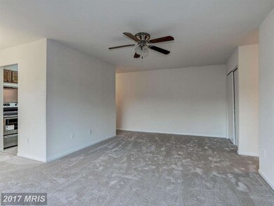 7598 Gales Ct unit 2B, Manassas, VA 20109 - photo 5