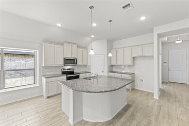 10312 Dittany Ln, Fort Worth, TX 76036 - photo 3