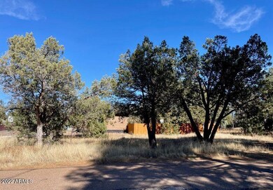 801 Bushman -- unit 1, Show Low, AZ 85901 - photo 7