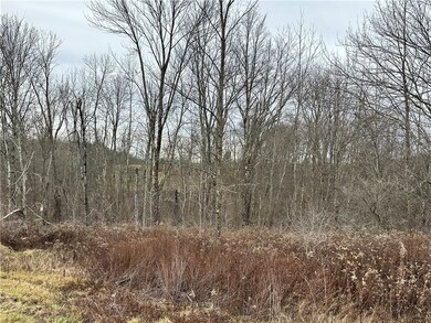 0 Kostenko Sutton Rd, Pitcher, NY 13801 - photo 7