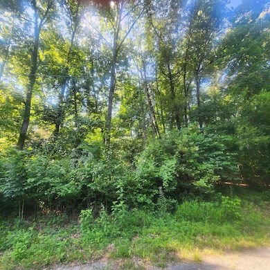 L-25 B-7 Navajo Trace, Cherokee Village, AR 72529 - photo 2