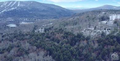 0 Homestead Ln unit 155406, Windham, NY 12496 - photo 4