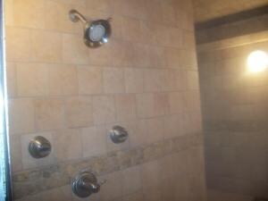 Jasper Master Shower