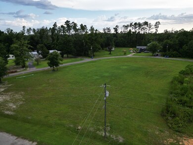 LOT 1 Thomas Cir, Wewahitchka, FL 32465 - photo 3