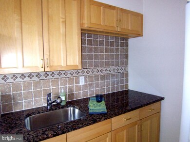 6609 10th St unit A1, Alexandria, VA 22307 - photo 5