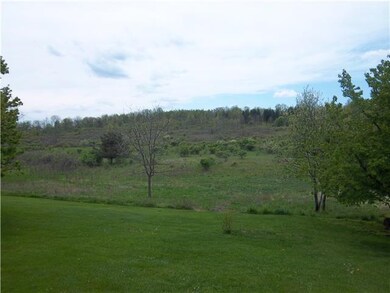 Land. Stand of hardwoods at the top of the hill.