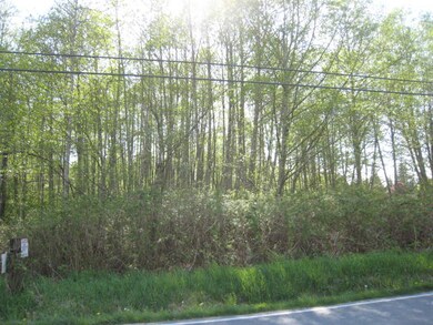 161 45 Rd, Arlington, WA 98223 - photo 3