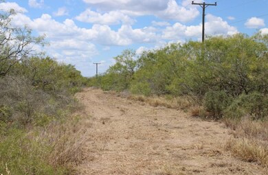 0 County Road 284 Rd unit ACT3597914, Benavides, TX 78342 - photo 3