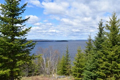 DSC_0054-8