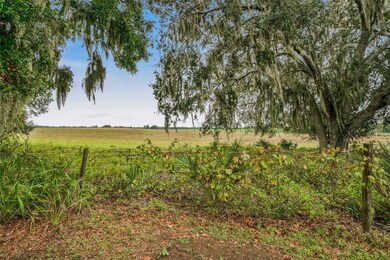 981 N Foxrun Terrace, Inverness, FL 34453 - photo 7