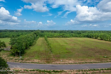 Lot28-2