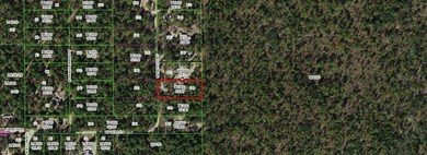 4801 N Mattox Point, Crystal River, FL 34428 - photo 6