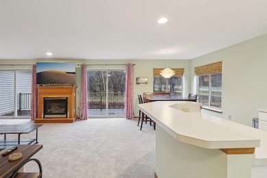 7203 Mid Town Rd unit 301, Madison, WI 53719 - photo 7