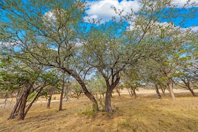 000 Spring Lakes Pkwy W unit 89, Ingram, TX 78025 - photo 5