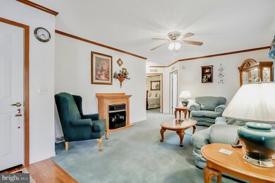 566 Wild Apple Ln, Paw Paw, WV 25434 - photo 7