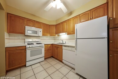 Decorator Ceramic Backsplash & Floor For Contempor