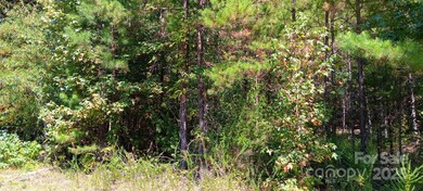 0 First Corriher St unit CAR4301927, China Grove, NC 28023 - photo 2