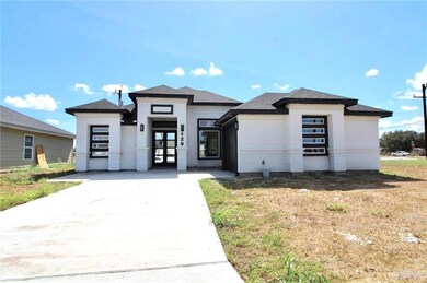 129 Irvine Ave, Alamo, TX 78516 - photo 4