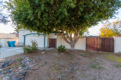 DS00254 (3 of 29)