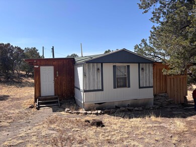 233 Turquoise Trail, Datil, NM 87821 - photo 3