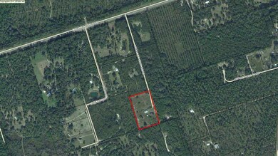 108 Tobacco Sink Rd, Crawfordville, FL 32327 - photo 4