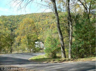 12 Batman Hill Rd, Luray, VA 22835 - photo 6