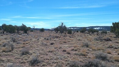 0 Windsor Valley Ranch unit 254962, Concho, AZ 85924 - photo 6