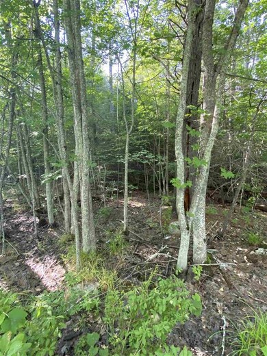 tbd Waldron Rd, Farmington, NH 03835 - photo 6