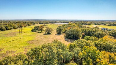 Lot 53 Perkins Rd, Poolville, TX 76487 - photo 7