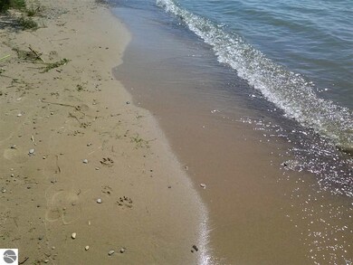 NA E Michigan Ave, Au Gres, MI 48703 - photo 2