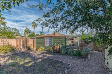 Backyard_1