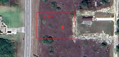 1039 Bell Blvd S, Lehigh Acres, FL 33974 - photo 4