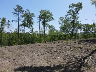 0 Denio Rd, Barnet, VT 05819 - photo 5