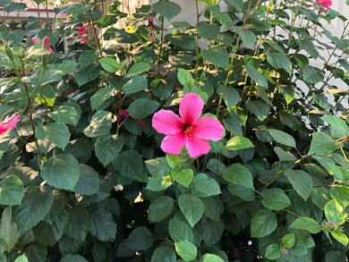 75276FCB-A2B9-4ACE-98FE-97DAA353E7E2