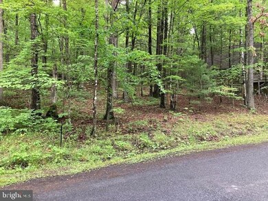 0 Susan Rd unit VASH2003412, Basye, VA 22810 - photo 7