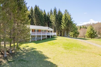meadows of dan-6