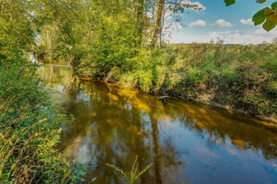 007-12-The East Branch of the Galien